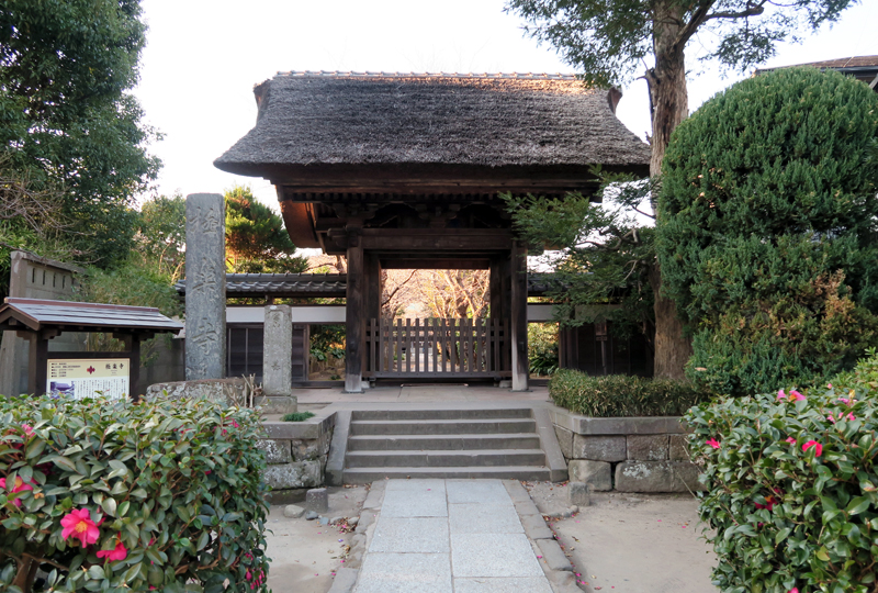 極楽寺 イベント情報 鎌倉アート＆カルチャーMAP